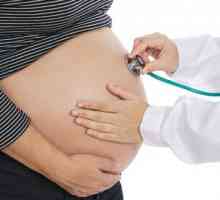 Klamidija v krvi med nosečnostjo