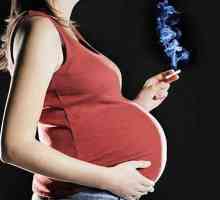 Nove študije so sposobni prepričati nosečnic prenehati s kajenjem