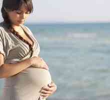 Optimalna interval med nosečnosti - let ni krajši od enega in pol