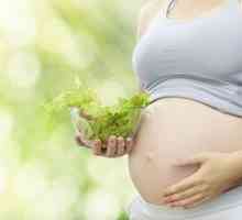 Živila z vitaminom D v prehrani nosečnic za zaščito otrok pred alergijami