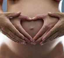 Priprava in načrtovanje nosečnosti