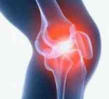 Poškodbe kolenskega sklepa pri otrocih