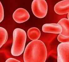 Zvišane hemoglobina v krvi