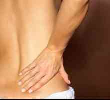 Drgnjenje na osnovi zdravilnih zelišč za bolečine v hrbtu