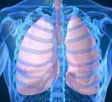 Respiratorni sincicijski okužba z virusom (pc) okužba