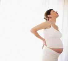 Sredstvo za zaprtje v nosečnosti