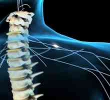 Vračilo tehnologija dihanjem pri ljudeh s poškodbami hrbtenjače