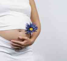 Presaditev maternice je sposobna dati ženskam radost materinstva