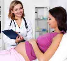 Ureaplasma v nosečnosti