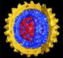 Virusni hepatitis D