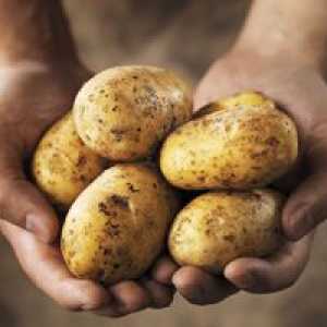 Nosečnice morajo omejiti porabo jedi iz krompirja