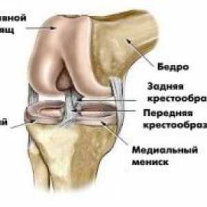 Bolečina v koleno