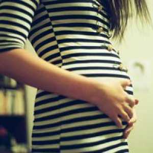 Četrti mesec nosečnosti