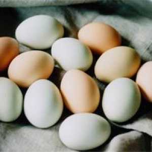 Dnevna poraba jajc ne povzroča srčne napade