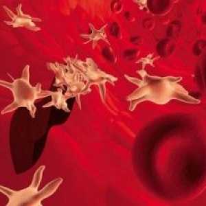 Nizke vrednosti trombocitov v krvi