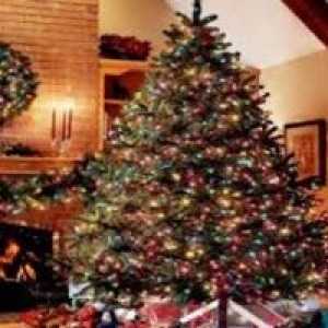 Božična drevesca lahko polna nevarnosti