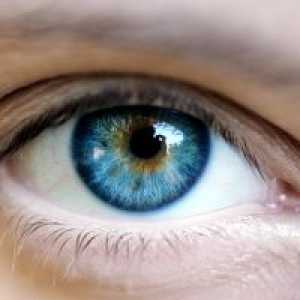 Onkologija oči