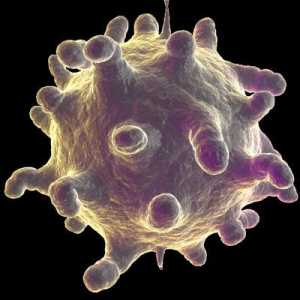 Okužba rinovirusi