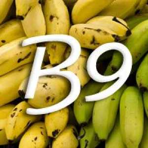 Vitamin B9 (folna kislina)